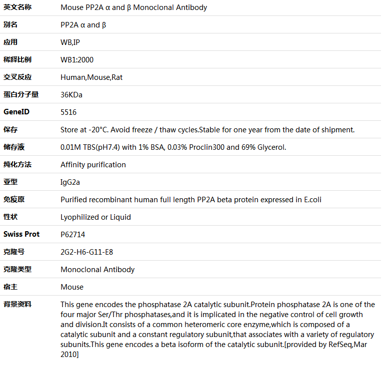 PP2A α and β Antibody,索莱宝,K001378M-100ul