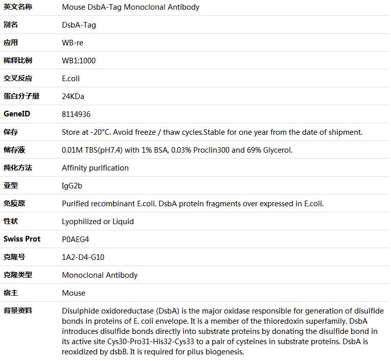 DsbA-Tag Antibody,索莱宝,K001375M-50ul