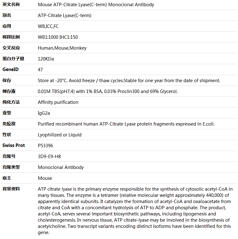 ATP-Citrate Lyase(C-term) Antibody,索莱宝,K001374M-100ul
