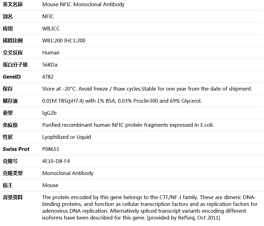 NFIC Antibody,索莱宝,K001369M-100ul