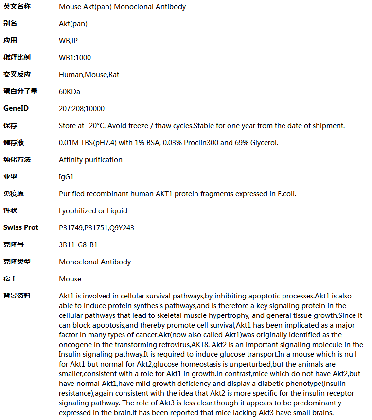 Akt(pan) Antibody,索莱宝,K001368M-50ul