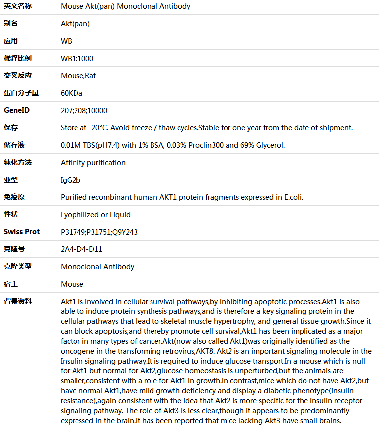 Akt(pan) Antibody,索莱宝,K001367M-100ul