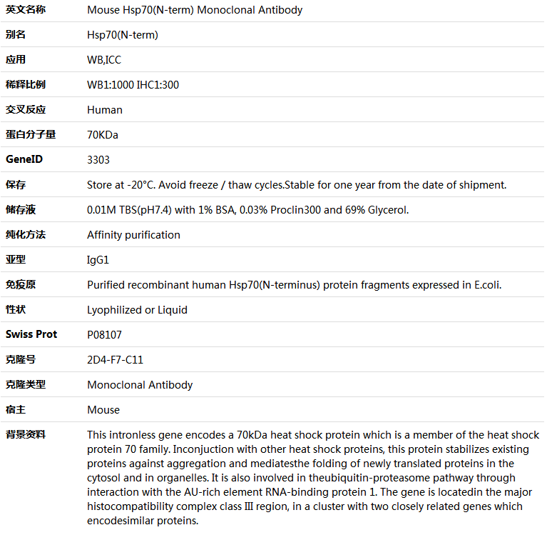 Hsp70(N-term) Antibody,索莱宝,K001361M-100ul