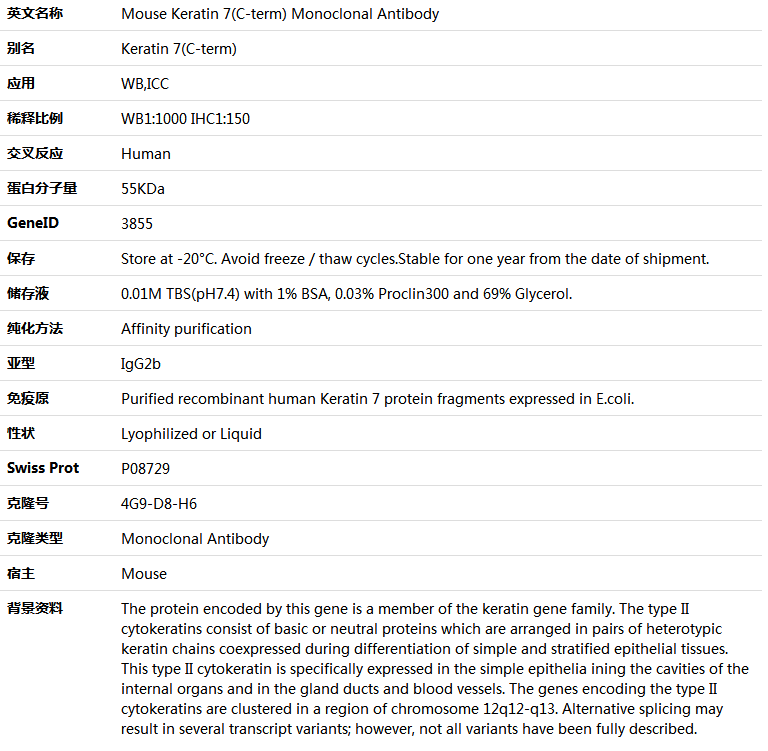 Keratin 7(C-term) Antibody,索莱宝,K001359M-100ul