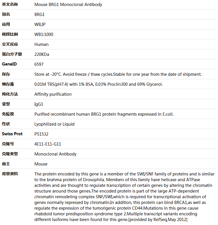 BRG1 Antibody,索莱宝,K001358M-100ul