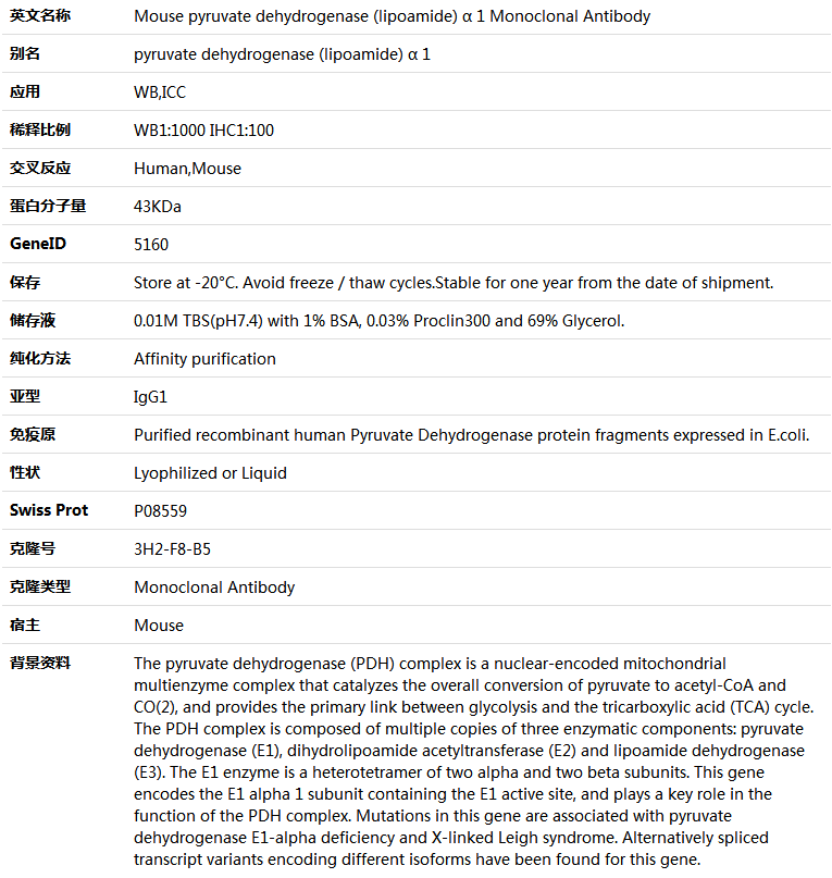 pyruvate dehydrogenase (lipoamide) α 1 Antibody,索莱宝,K001357M-100ul