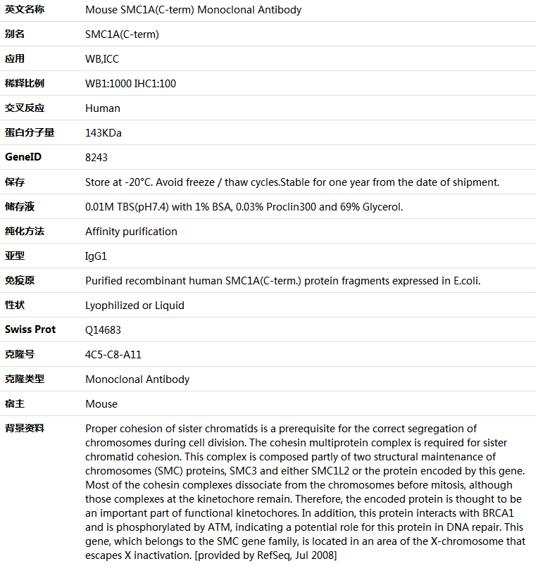 SMC1A(C-term) Antibody,索莱宝,K001355M-50ul