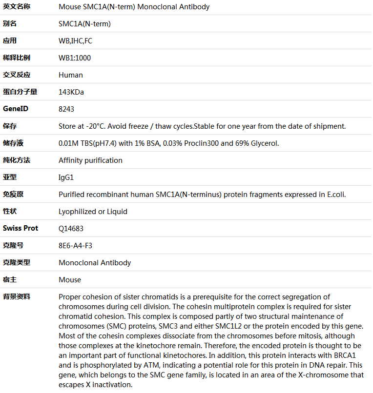 SMC1A(N-term) Antibody,索莱宝,K001354M-50ul