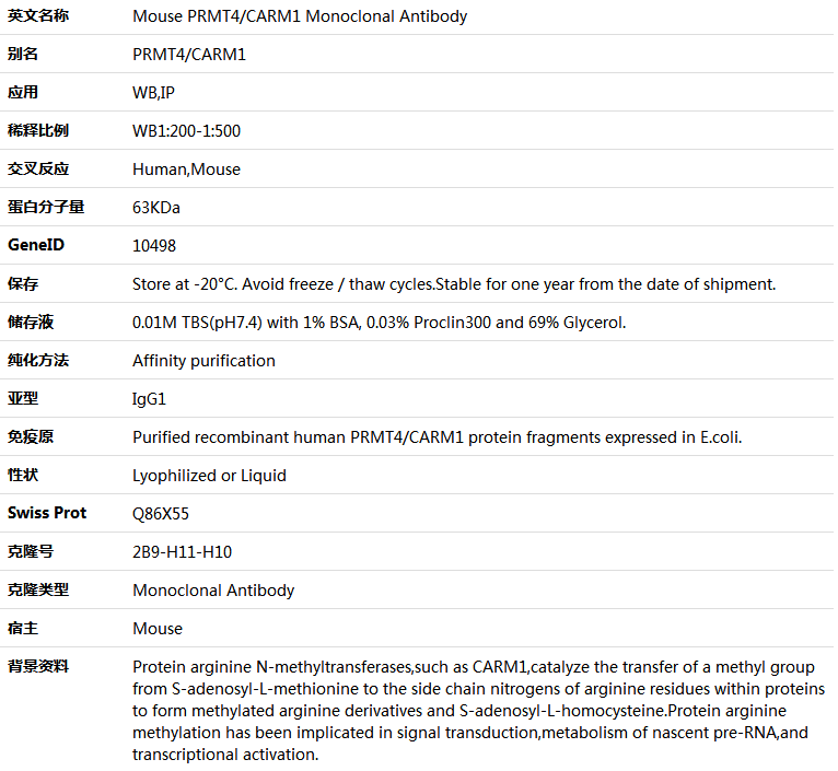 PRMT4/CARM1 Antibody,索莱宝,K001346M-50ul