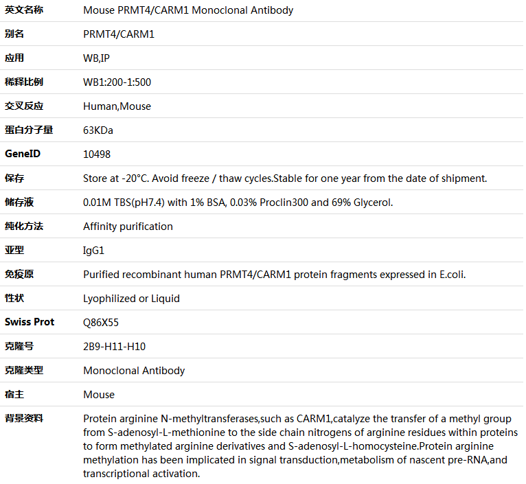 PRMT4/CARM1 Antibody,索莱宝,K001346M-100ul