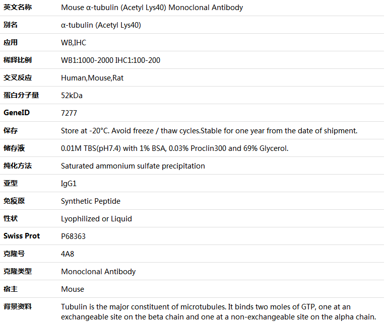 α-tubulin (Acetyl Lys40) Antibody,索莱宝,K000237M-100ul