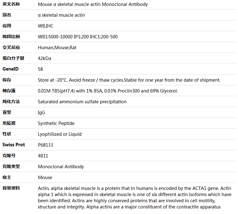 α skeletal muscle actin Antibody,索莱宝,K000216M-100ul