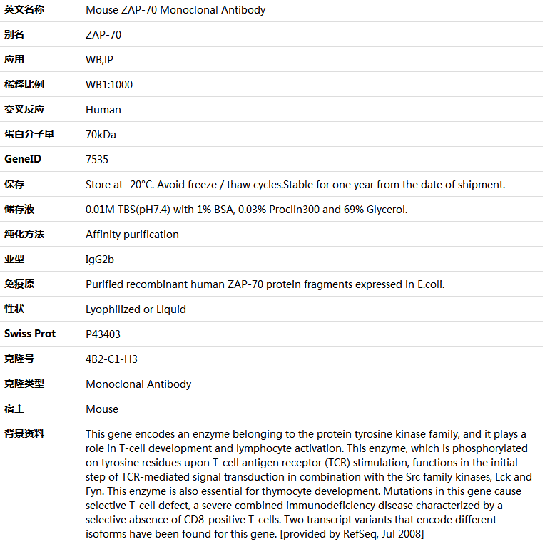 ZAP-70 Antibody,索莱宝,K000126M-100ul