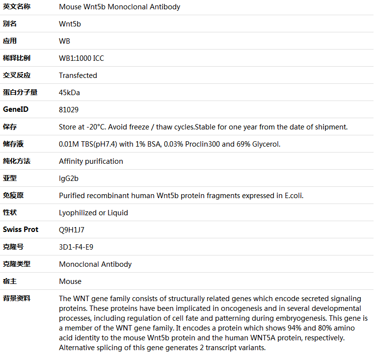 Wnt5b Antibody,索莱宝,K000173M-50ul