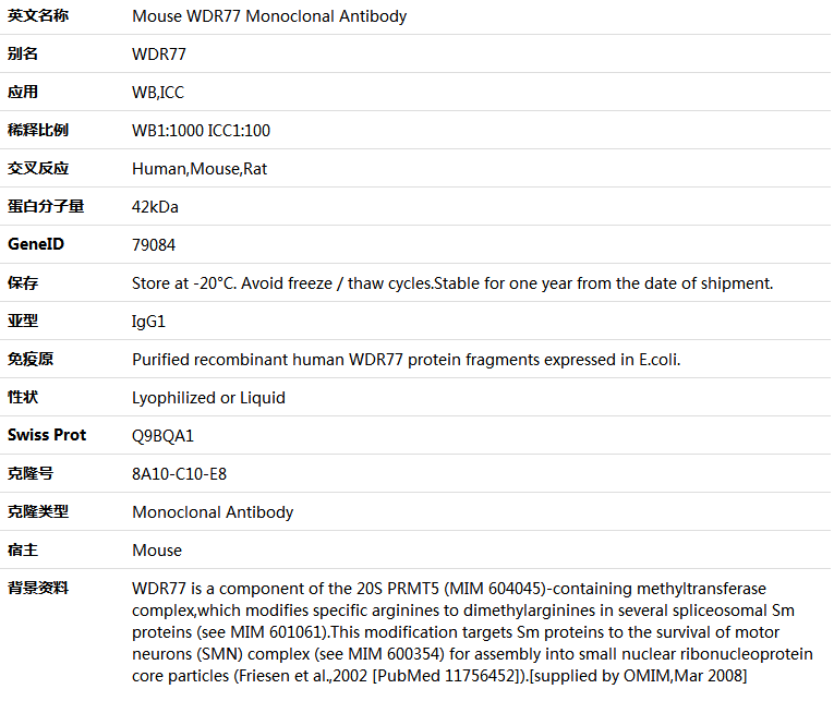 WDR77 Antibody,索莱宝,K000121M-50ul