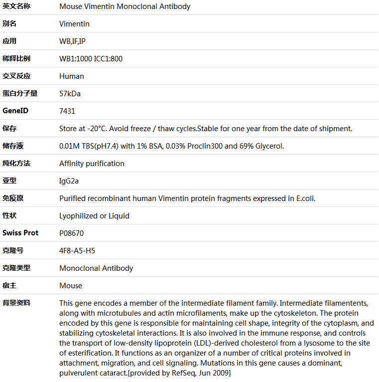 Vimentin Antibody,索莱宝,K000165M-100ul