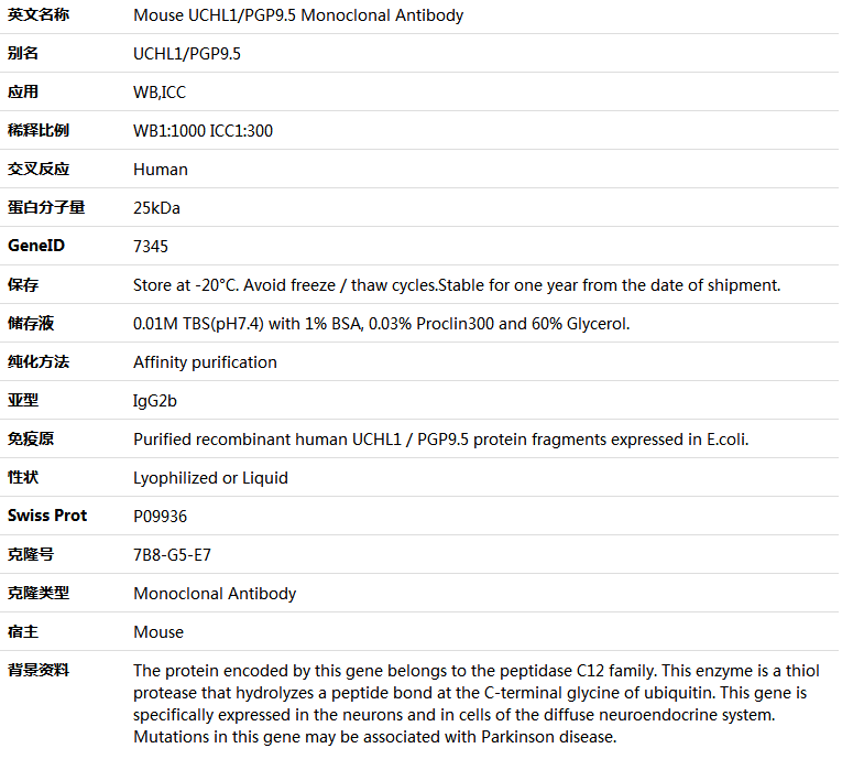 UCHL1/PGP9.5 Antibody,索莱宝,K000088M-100ul