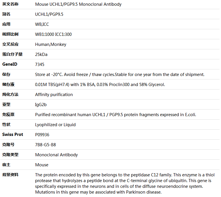 UCHL1/PGP9.5 Antibody,索莱宝,K000087M-100ul