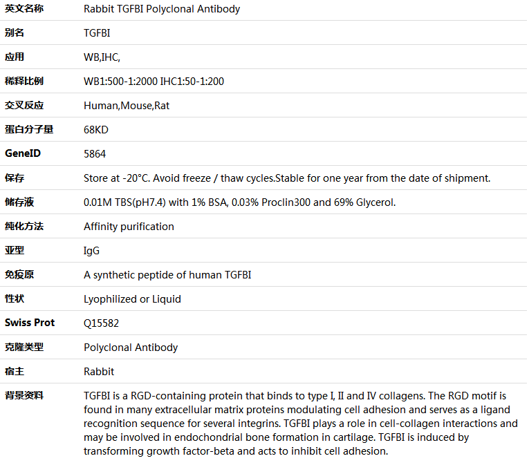 TGFBI Antibody,索莱宝,K000469P-50ul