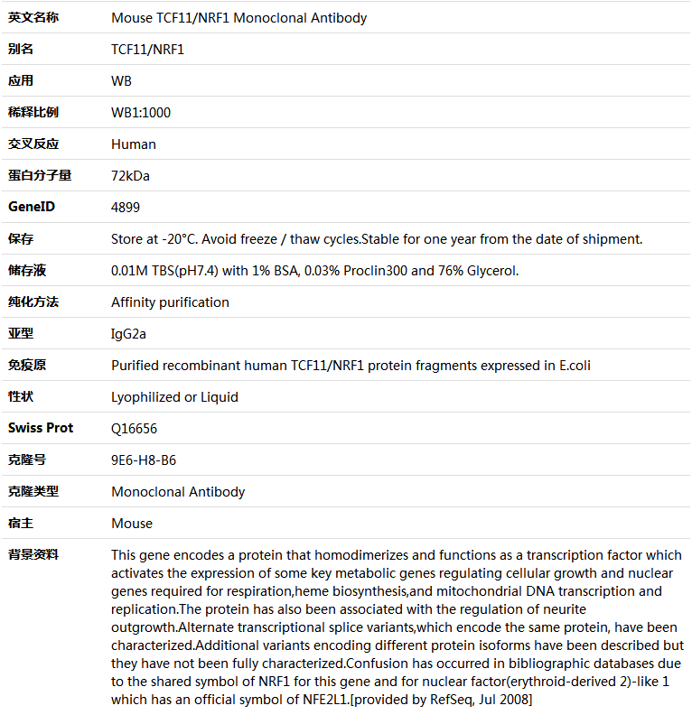 TCF11/NRF1 Antibody,索莱宝,K000095M-50ul