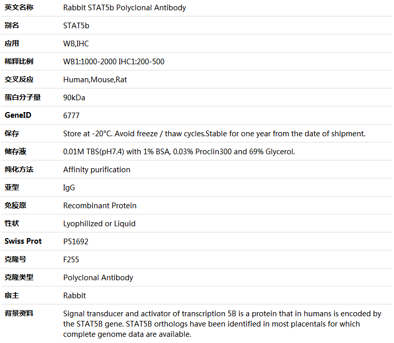 STAT5b Antibody,索莱宝,K000506P-50ul