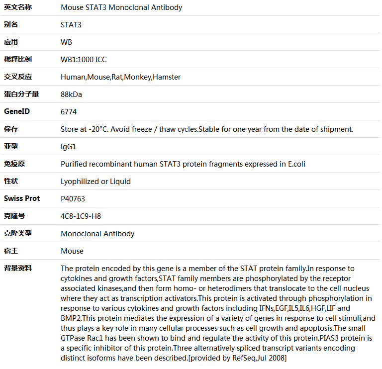 STAT3 Antibody,索莱宝,K000124M-100ul