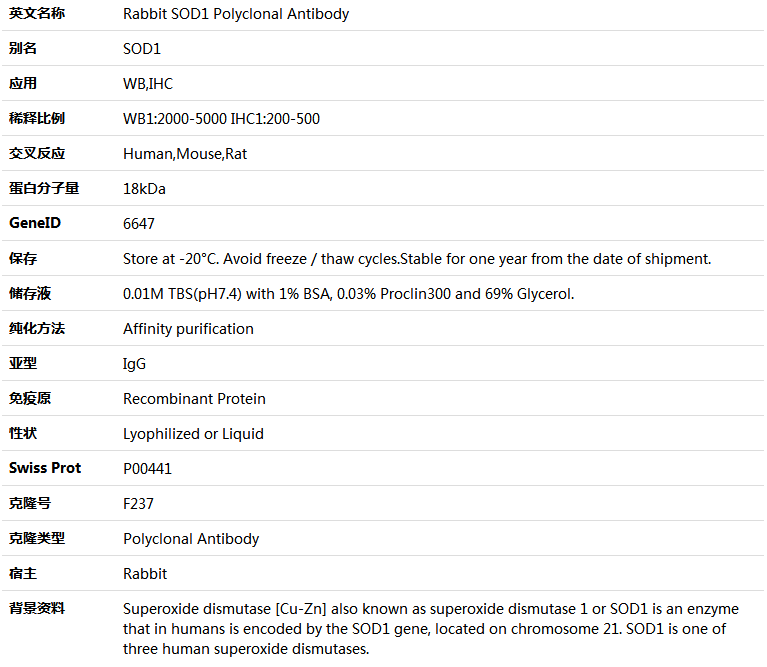 SOD1 Antibody,索莱宝,K000496P-100ul