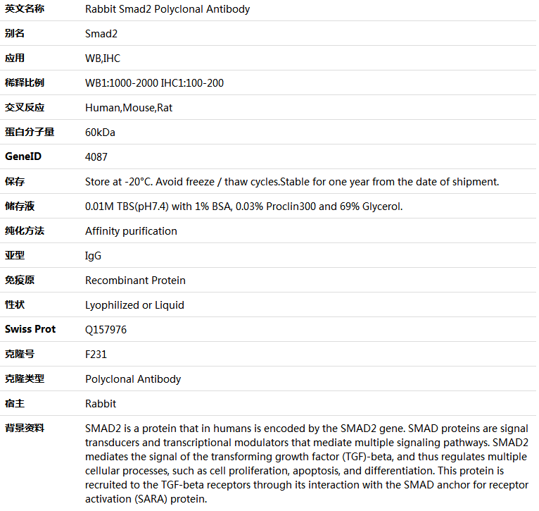 Smad2 Antibody,索莱宝,K000504P-100ul