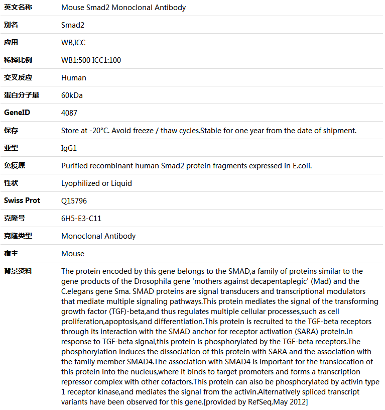 Smad2 Antibody,索莱宝,K000096M-100ul