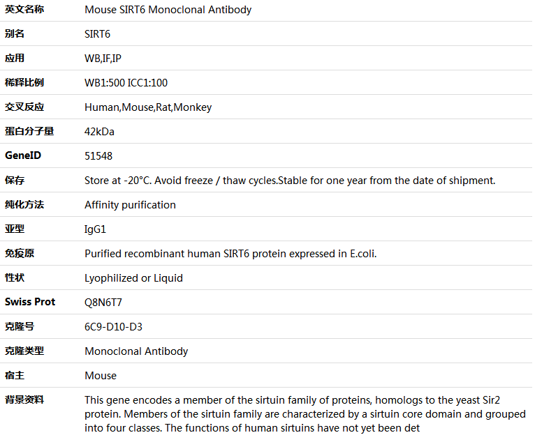 SIRT6 Antibody,索莱宝,K000042M-100ul