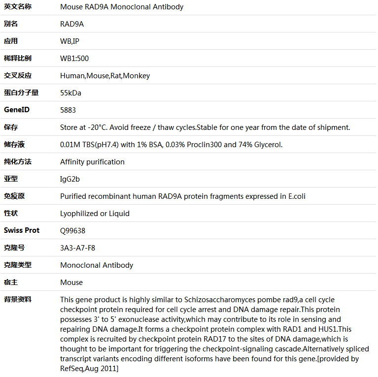 RAD9A Antibody,索莱宝,K000094M-50ul