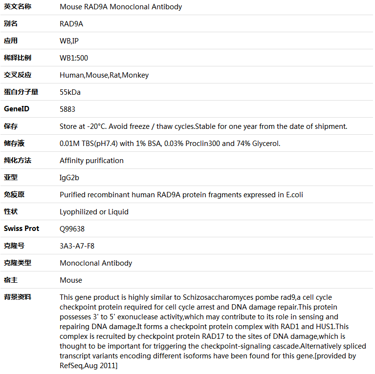 RAD9A Antibody,索莱宝,K000094M-100ul