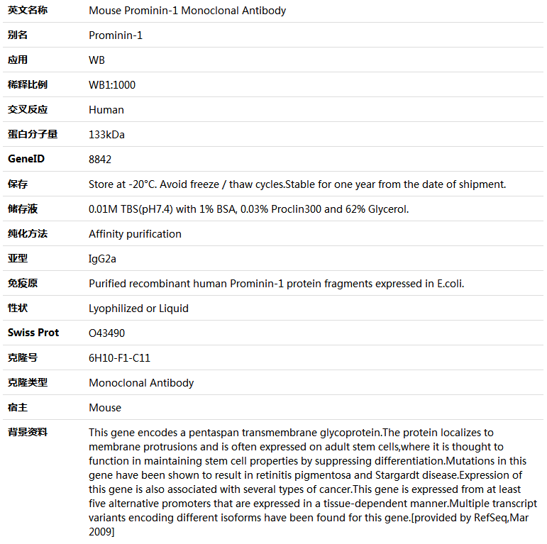 Prominin-1 Antibody,索莱宝,K000115M-100ul