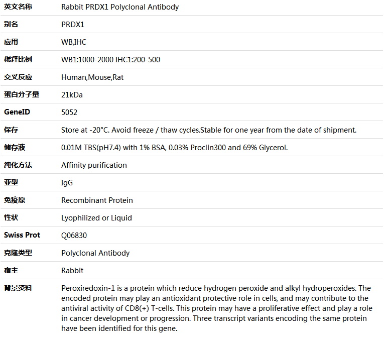 PRDX1 Antibody,索莱宝,K000480P-50ul