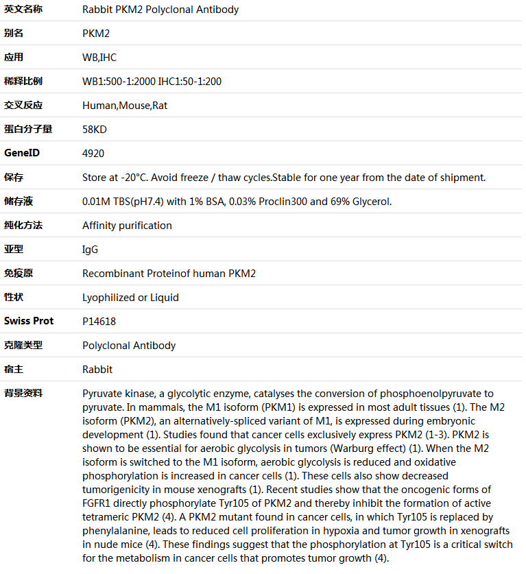 PKM2 Antibody,索莱宝,K000468P-100ul