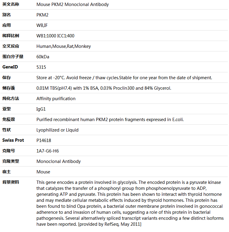 PKM2 Antibody,索莱宝,K000067M-100ul