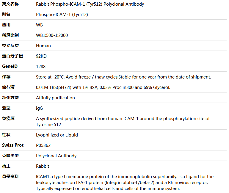 Phospho-ICAM-1 (Tyr512) Antibody,索莱宝,K000466P-50ul