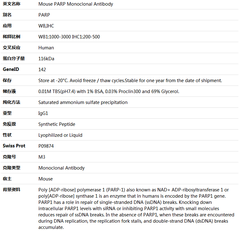 PARP Antibody,索莱宝,K000212M-100ul
