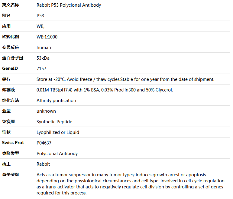 P53 Antibody,索莱宝,K001293P-100ul