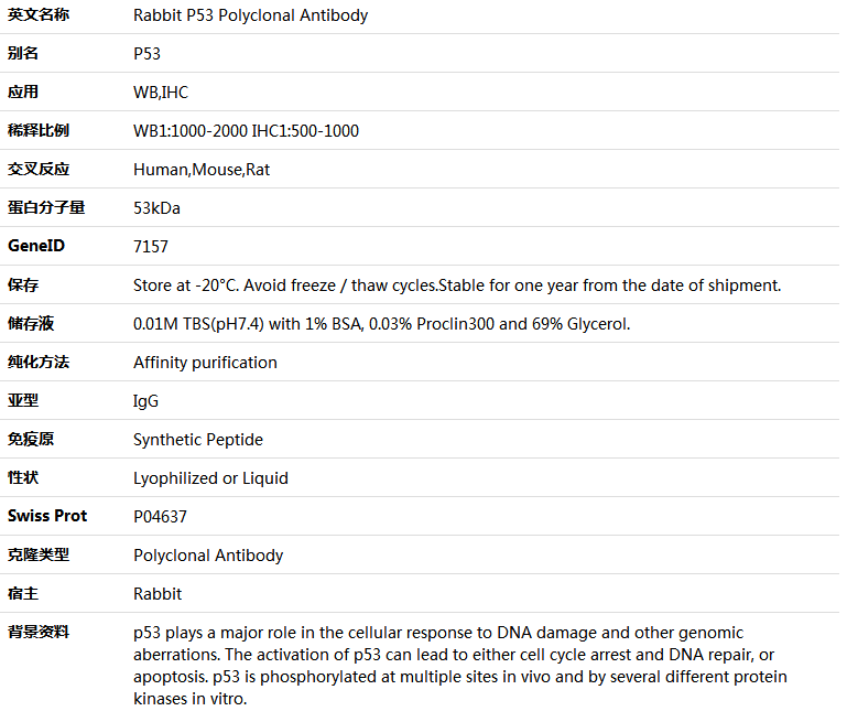 P53 Antibody,索莱宝,K000493P-50ul