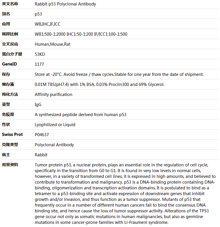 p53 Antibody,索莱宝,K000465P-50ul