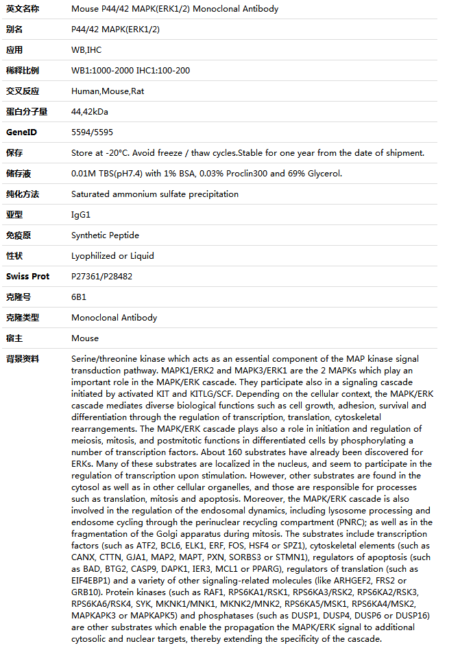 P44/42 MAPK(ERK1/2) Antibody,索莱宝,K000236M-100ul