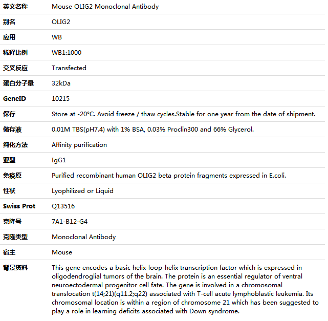 OLIG2 Antibody,索莱宝,K000117M-100ul