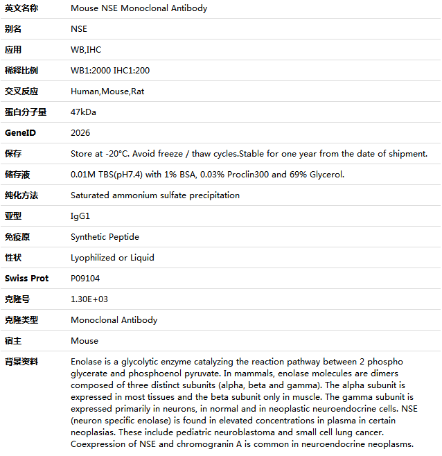 NSE Antibody,索莱宝,K000203M-50ul