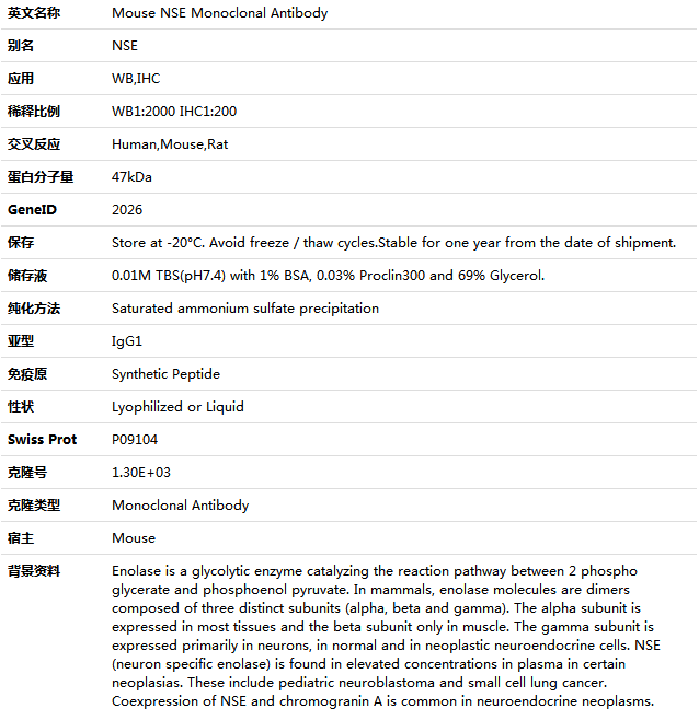 NSE Antibody,索莱宝,K000203M-100ul