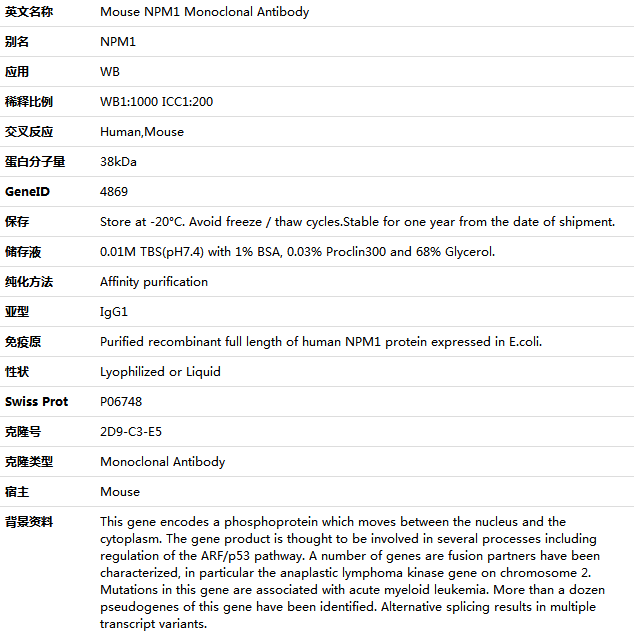 NPM1 Antibody,索莱宝,K000014M-100ul