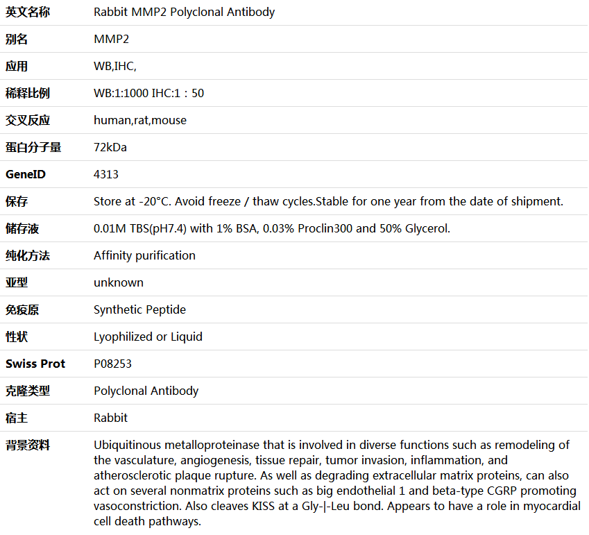 MMP2 Antibody,索莱宝,K001301P-50ul