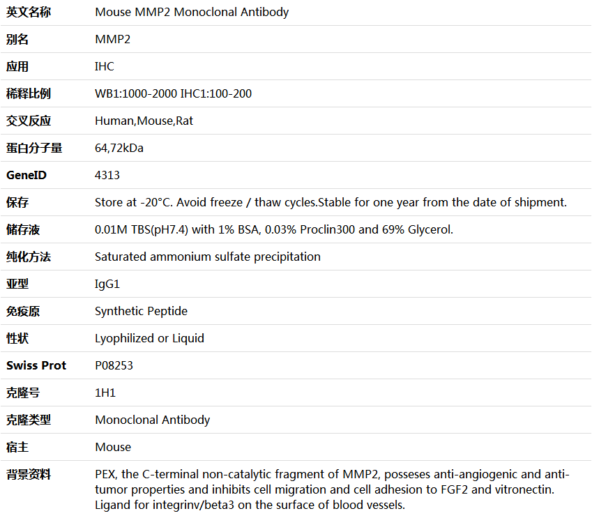 MMP2 Antibody,索莱宝,K000190M-100ul