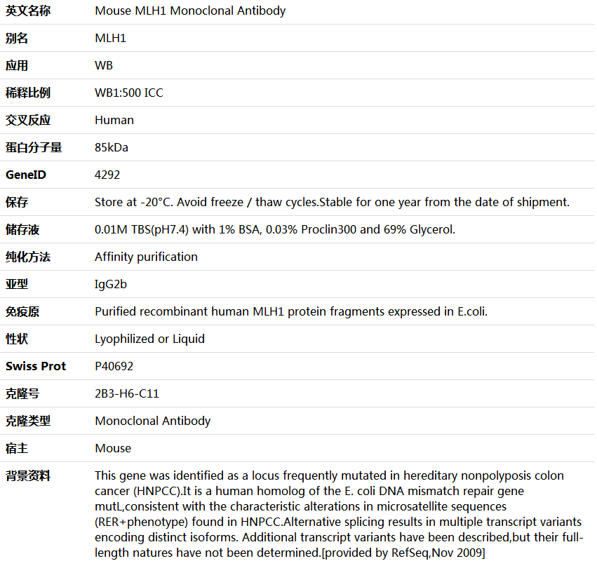 MLH1 Antibody,索莱宝,K000122M-100ul