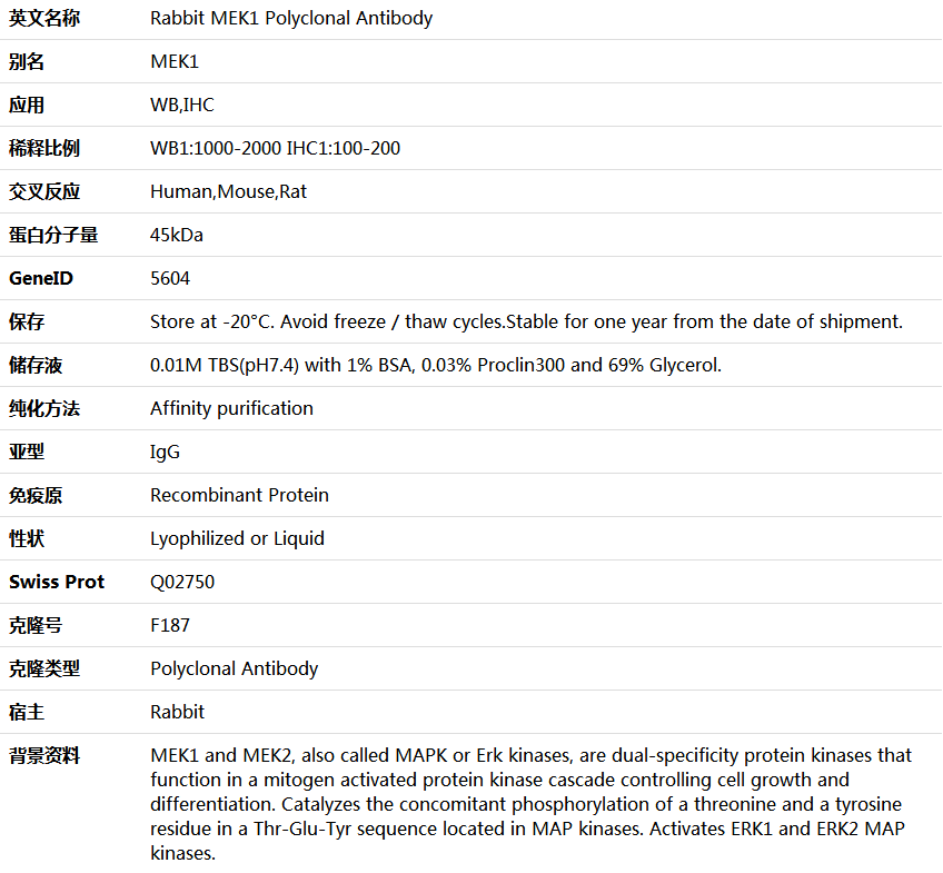 MEK1 Antibody,索莱宝,K000501P-50ul